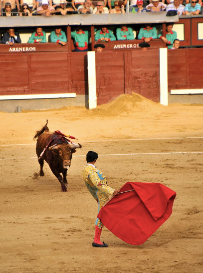 Tauromaquia
